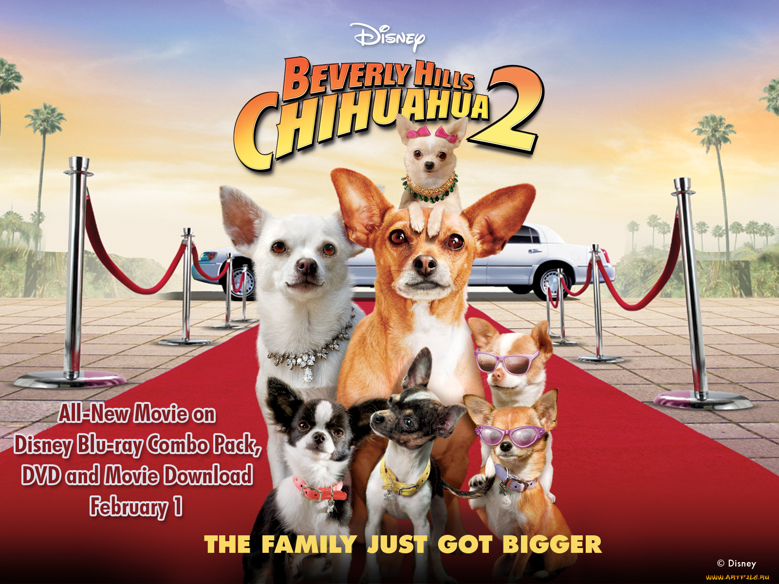 is there a beverly hills chihuahua 2